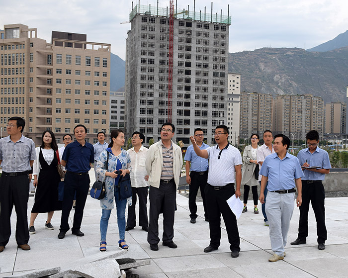 省、市聯(lián)合工作組蒞臨階州廣場檢查指導(dǎo)工作